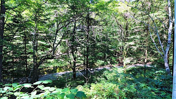 建物からの景色