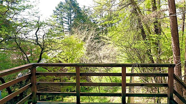 デッキからの景色