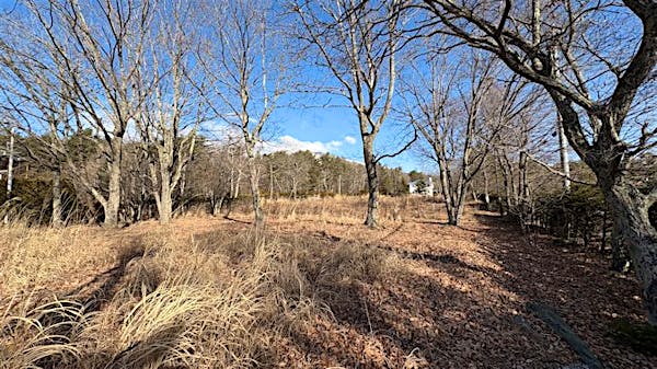 南東方向より撮影