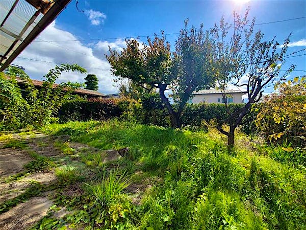 上物の軒から南側