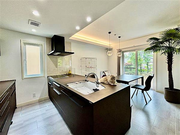 ﾘﾋﾞﾝｸﾞﾀﾞｲﾆﾝｸﾞｷｯﾁﾝ