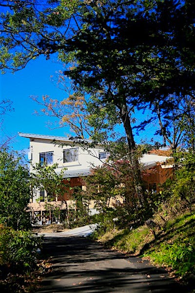 山の上の雑木林と調和する外観。