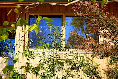 こだわりの木製サッシが、外部の板張りや木々と溶け込む。