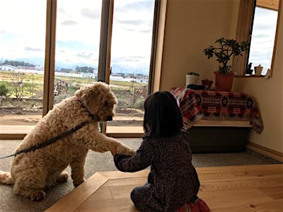 土間サロンとリビングの段差も小さくした。いつでも愛犬といっしょ。
