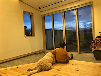 たまには愛犬も無垢床でゴロン。