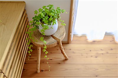 選木ツアーの丸太のお土産を使った、可愛いスツール。