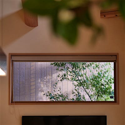 リビングから中庭を望む。壁掛けのTV位置も窓枠に合わせて調整した。