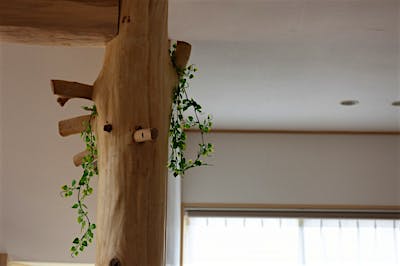 選木ツアーで選んだ木は、丸柱となって家を支えている。あえて上部だけ枝を残した。