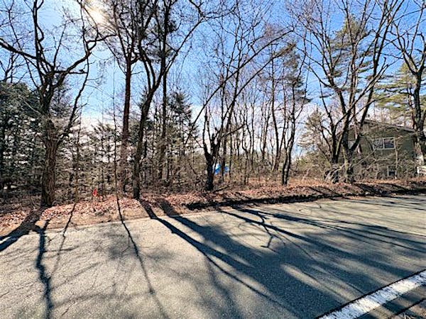 前面歩道より撮影