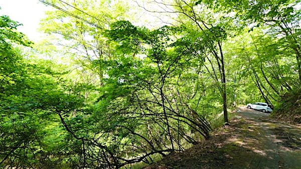 傾斜を活かした開放感をお楽しみください