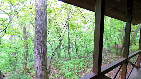 デッキからの景色