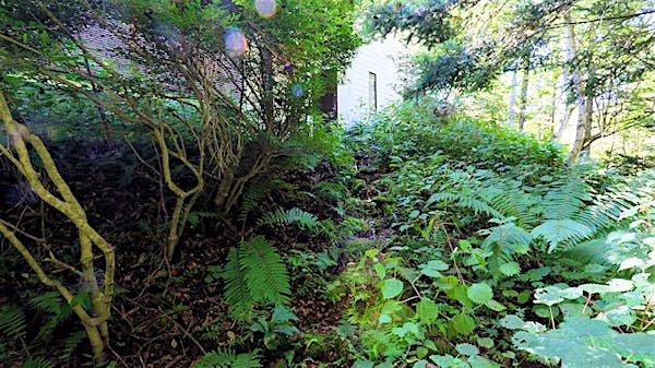 玄関までのアプローチ