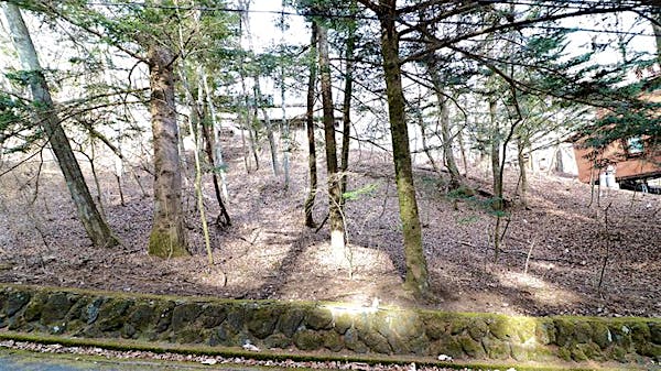 前面道路から撮影②