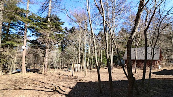 敷地内から道路方向を撮影