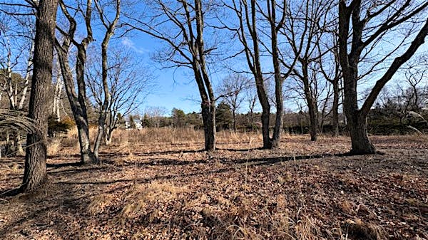 南西方向より撮影