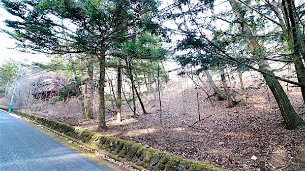 前面道路から撮影③