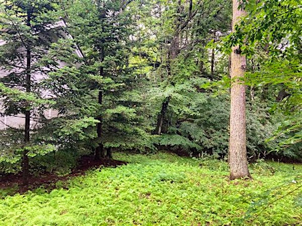 母屋から北東の離れを見る