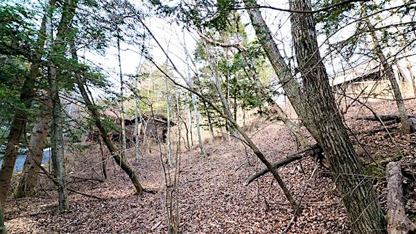 敷地全体の様子④