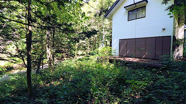 敷地南から撮影