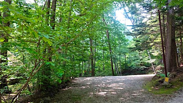 入口から北側を撮影