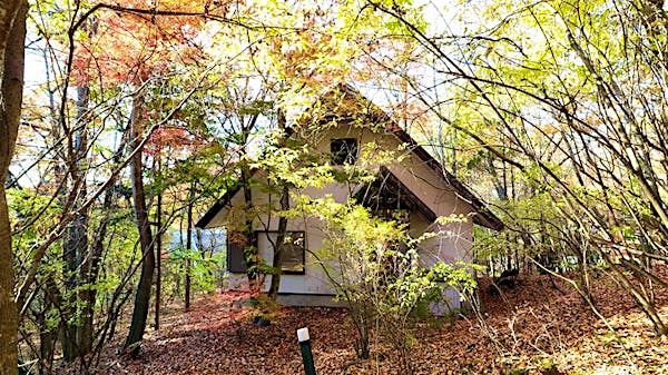 木立の中に佇む別荘