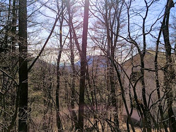 敷地から望む離山