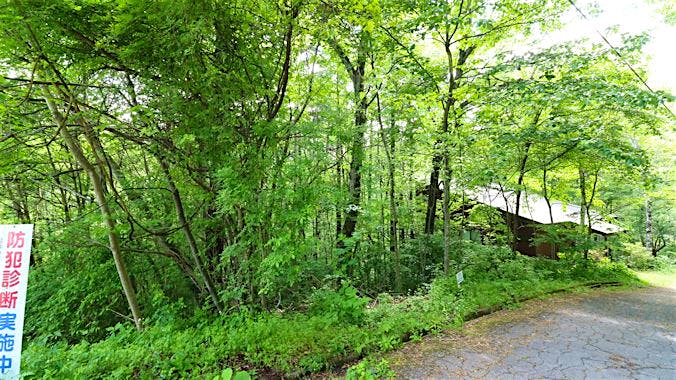 前面道路から撮影②