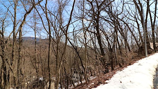 前面道路から撮影③