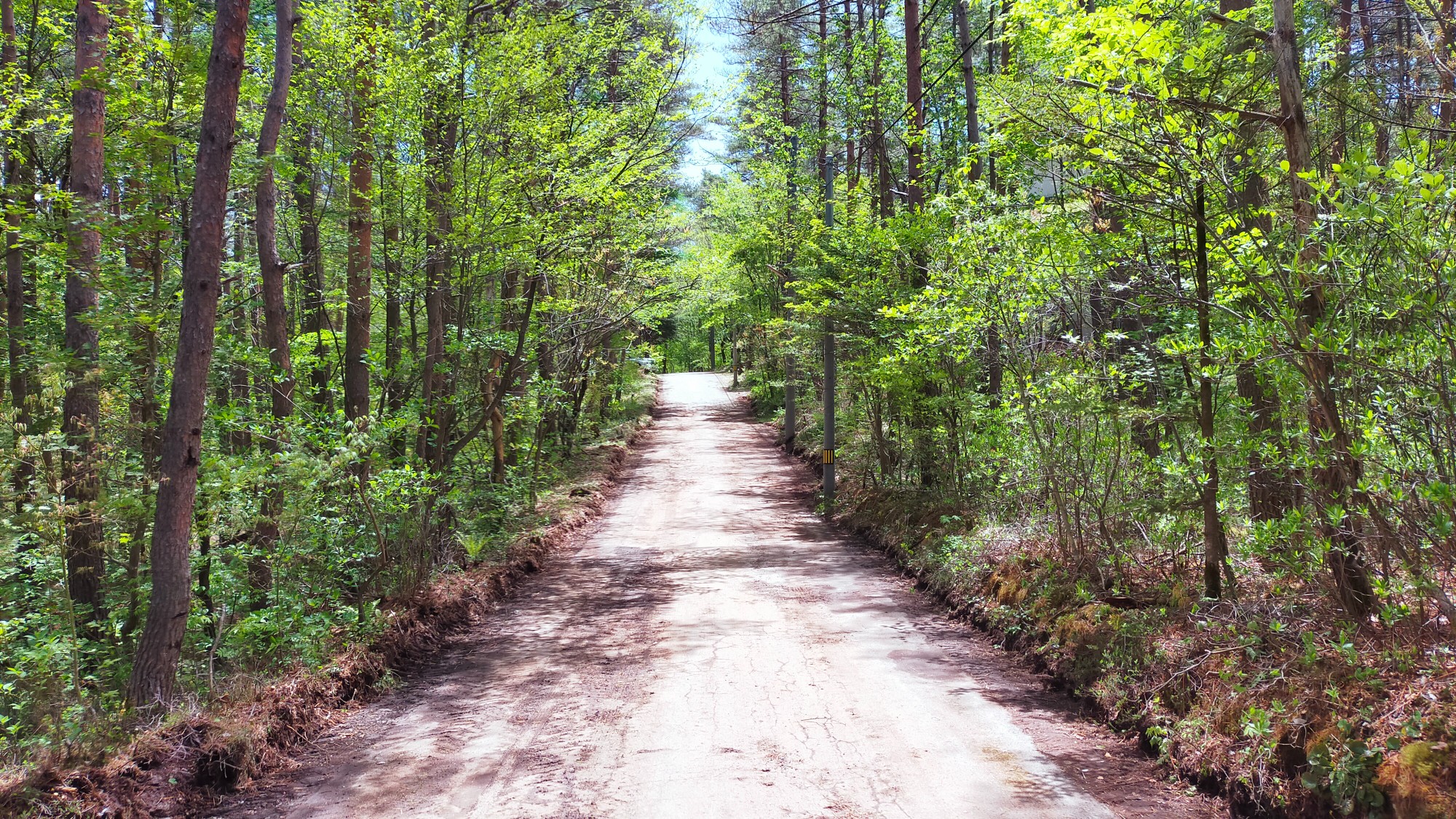 北軽井沢・嬬恋 土地 浅間ハイランドパーク車通りも少なく、静かさを
