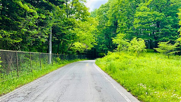 全面道路。東側から西側へ向かって撮影。画面左手の森は中軽井沢カントリークラブ。