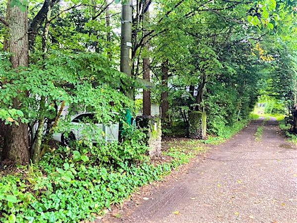 前面道路（北から南）