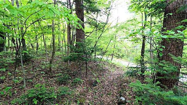敷地から見た道路