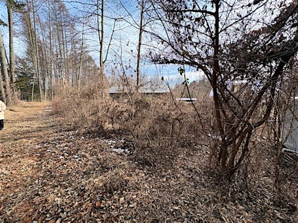 敷地北西側より撮影