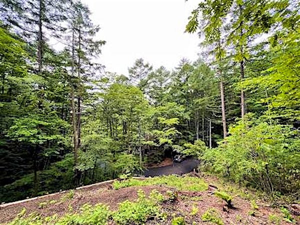 敷地からの眺め