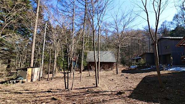 敷地西側から撮影