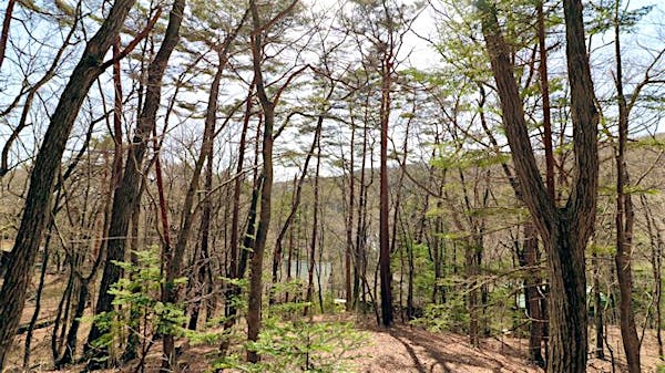 敷地内から楽しむ眺望