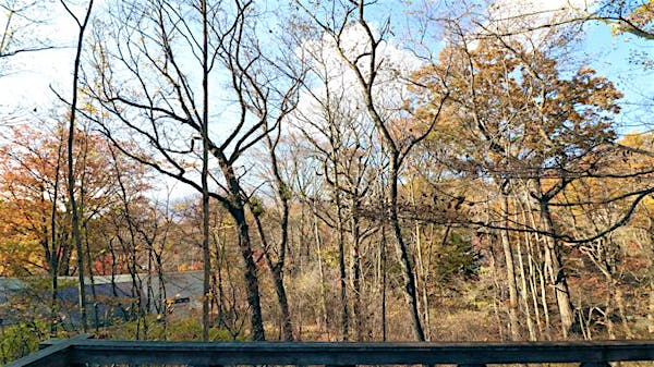 デッキからの眺め