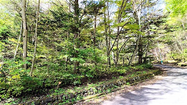 傾斜も緩やかなので進入路も造成しやすいです