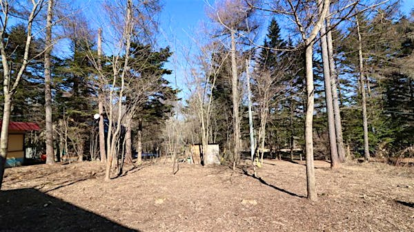 南西側境界線から撮影