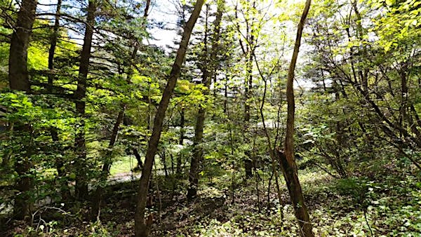 別荘地らしい開放感を愉しめます