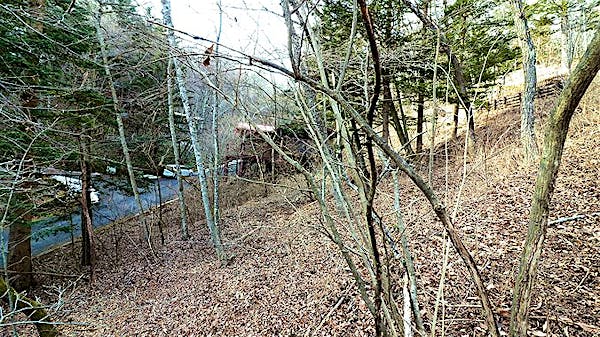 敷地全体の様子③