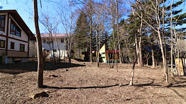 南東側境界線から撮影