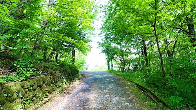 前面道路（右側が物件）