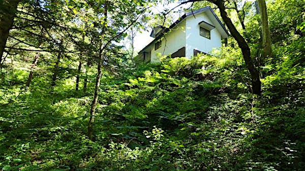 敷地平坦地から建物を撮影