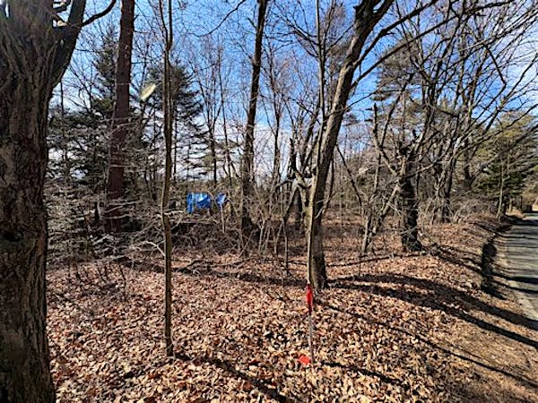 北東方向より撮影