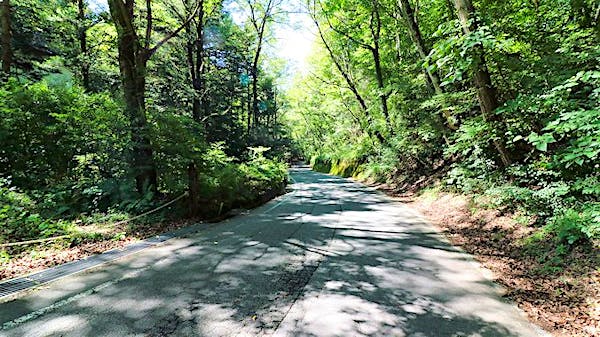 幅員約6.4ｍの前面道路