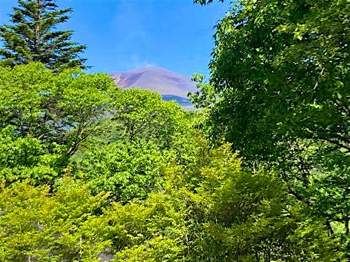 南隣の3705区画前道路から撮影
