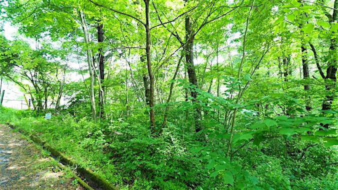 前面道路から撮影③