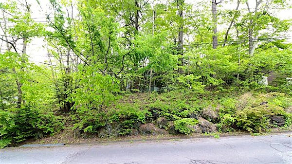 道路から見た敷地