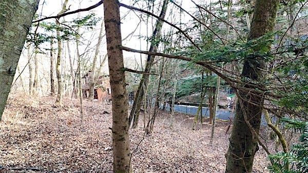 敷地全体の様子①